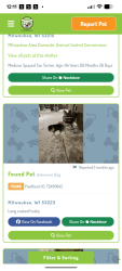 Lost Male Dog last seen 100th Street , Wauwatosa, WI 53225