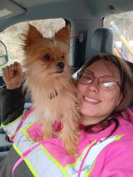 Lost Male Dog last seen Golf course , Pinehurst, NC 28374