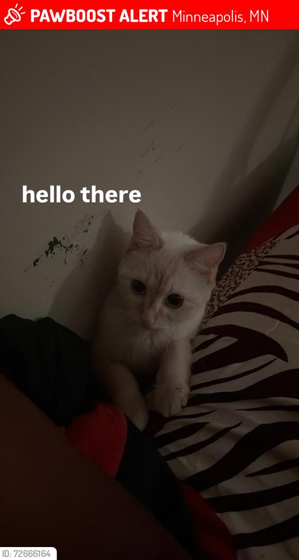 Lost Female Cat last seen gertrude brown pl, Minneapolis, MN 55411