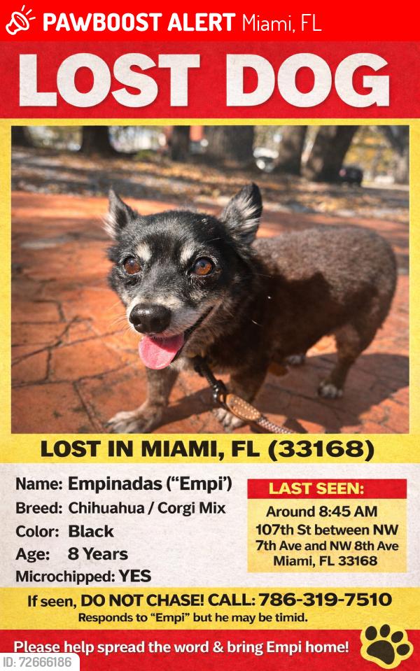 Lost Male Dog last seen 7th Ave, 8th Ave , Miami, FL 33168