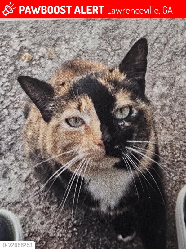 Lost Female Cat last seen Stone Mill Way Lawrenceville, Ga 30046, Lawrenceville, GA 30046