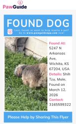 Found/Stray Male Dog last seen 51st and Arkansas Wichita ks, Wichita, KS 67204