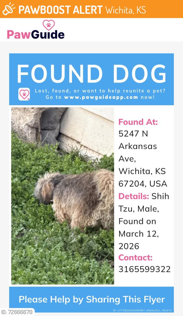 Found/Stray Male Dog last seen 51st and Arkansas Wichita ks, Wichita, KS 67204
