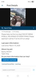 Lost Male Dog last seen 38th terrace tamarac , Tamarac, FL 33309