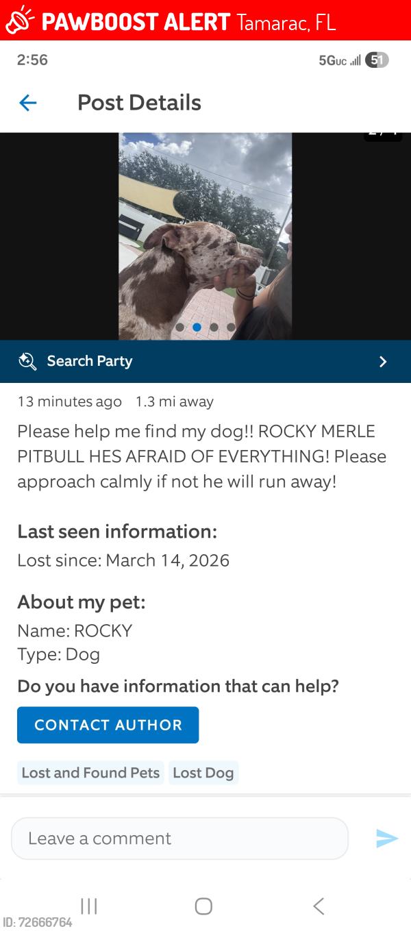 Lost Male Dog last seen 38th terrace tamarac , Tamarac, FL 33309