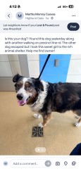 Found/Stray Unknown Dog last seen Precinct line, Hurst, TX 76118