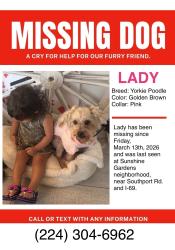 Lost Female Dog last seen Sunshine Gardens , Indianapolis, IN 46217