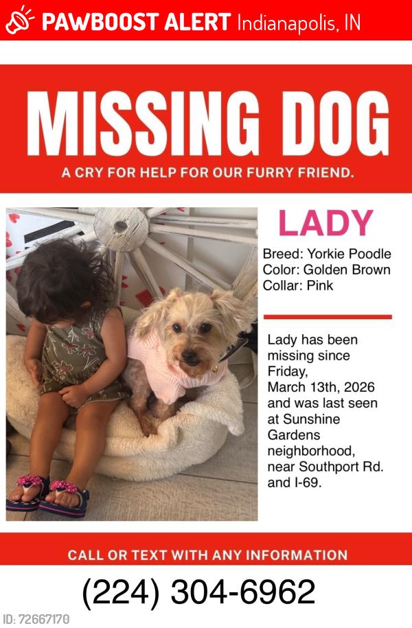 Lost Female Dog last seen Sunshine Gardens , Indianapolis, IN 46217