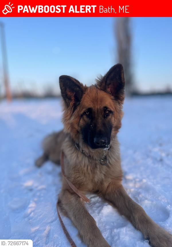 Lost Male Dog last seen Washington Street, Bath, ME 04530