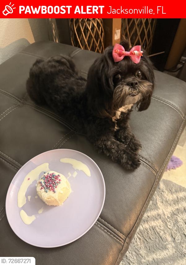 Lost Female Dog last seen Near Lucoma Dr , Jacksonville, FL 32254