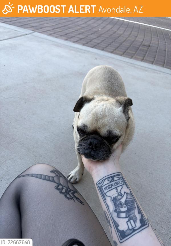 Found/Stray Male Dog last seen Near QT, Avondale, AZ 85323
