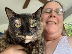 Lost Female Cat last seen Near Echo Drive Lenoir NC 28645, Lenoir, NC 28645