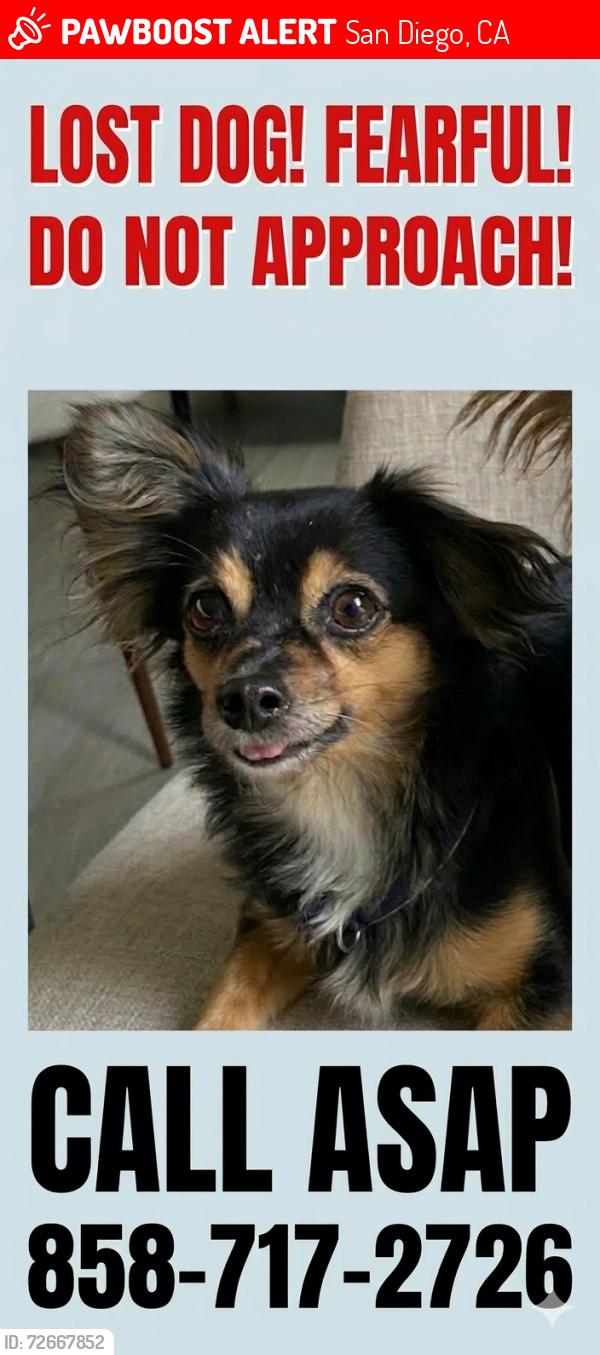 Lost Female Dog last seen Near Highpark Ln, San Diego, San Diego, CA 92129