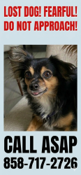 Lost Female Dog last seen Near Highpark Ln, San Diego, San Diego, CA 92129
