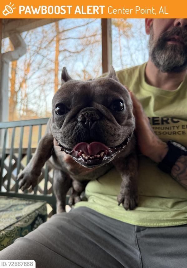Found/Stray Male Dog last seen Tupelo Rd. & Tupelo Way, Center Point, AL 35215