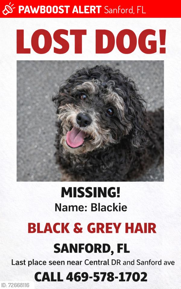 Lost Male Dog last seen Central Dr , Sanford, FL 32773