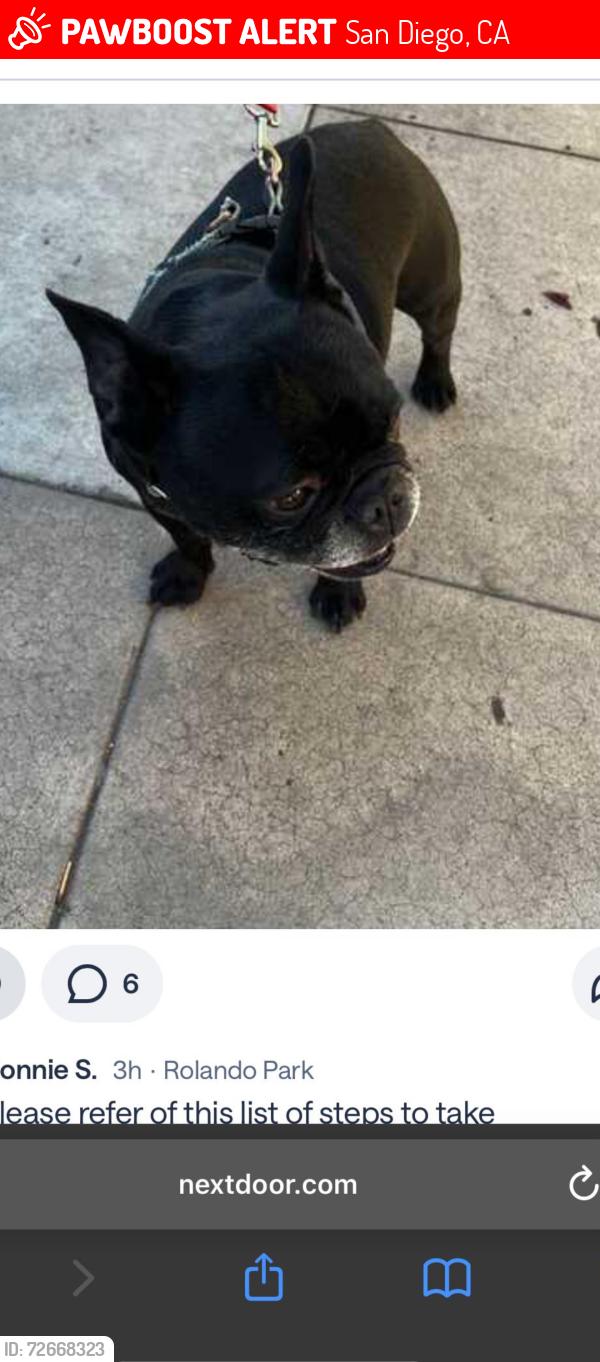 Lost Male Dog last seen Auburn Dr, San Diego, CA 92105