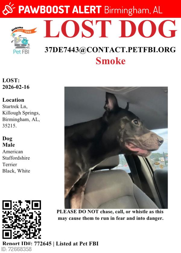 Lost Male Dog last seen 1st Street north, Birmingham, AL 35206