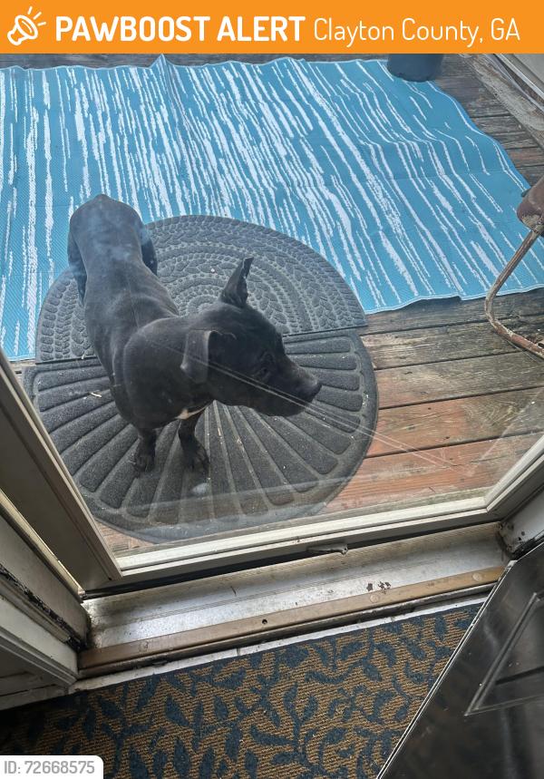 Found/Stray Male Dog last seen Near Hilltop Rd, Clayton County, GA 30236