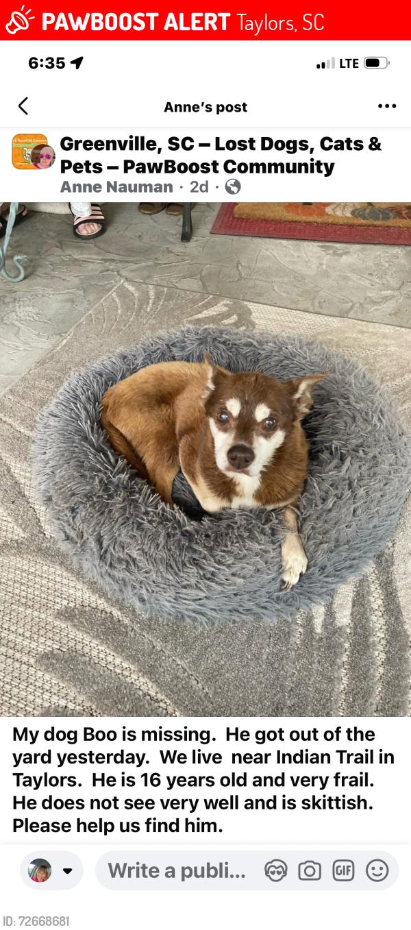 Lost Male Dog last seen Sylvania Drive and Indian Trail, Taylors, SC 29687