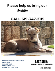 Lost Female Dog last seen Hilltopand Angela, Chula Vista, CA 91911