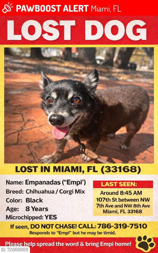 Lost Male Dog last seen Near nw 107th st Miami fl 33168, Miami, FL 33168