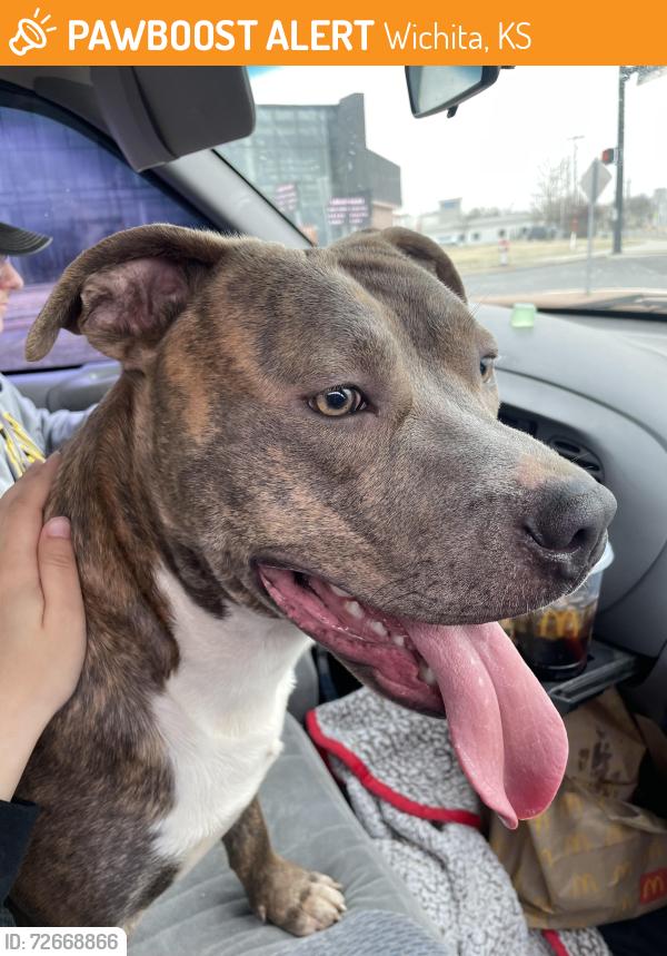 Found/Stray Male Dog last seen Entrance of OJ Watson, Wichita, KS 67217