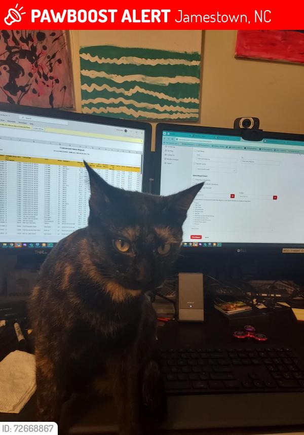 Lost Female Cat last seen Farm lake st, Jamestown, NC 27282