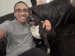 Lost Female Dog last seen S Youngs Blvd & SW 55th St, Oklahoma City, OK 73119