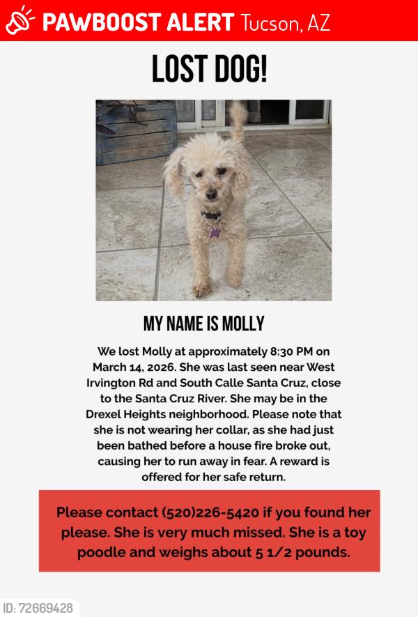Lost Female Dog last seen Irvington Rd and South Calle Santa Cruz , Tucson, AZ 85714
