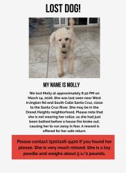 Lost Female Dog last seen Irvington Rd and South Calle Santa Cruz , Tucson, AZ 85714