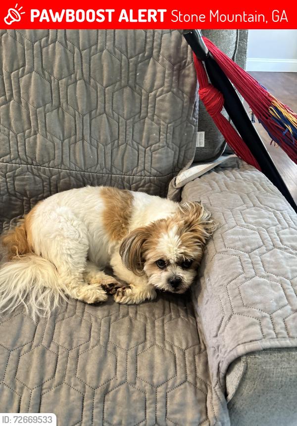 Lost Female Dog last seen Rockbridge rd, Stone Mountain, GA 30087