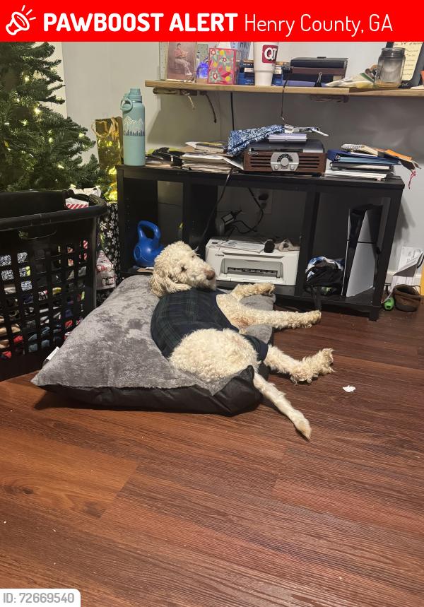 Lost Male Dog last seen Mandy Ct & Michelle Drive, Henry County, GA 30252