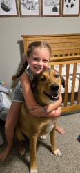 Lost Male Dog last seen 81st & 33rd, Tulsa, OK 74132