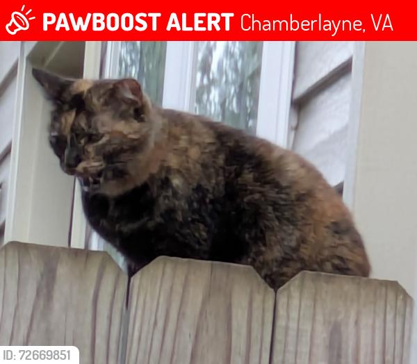 Lost Female Cat last seen Cornith Dr. and Chipplegate Dr., Chamberlayne, VA 23227