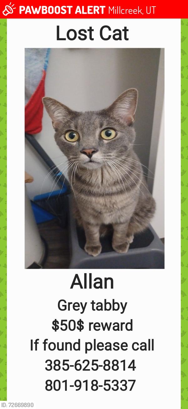 Lost Male Cat last seen Near cottonwood park, Millcreek, UT 84124