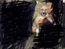 Found/Stray Unknown Dog last seen Mt hope ch rd Greensboro NC, McLeansville, NC 27301