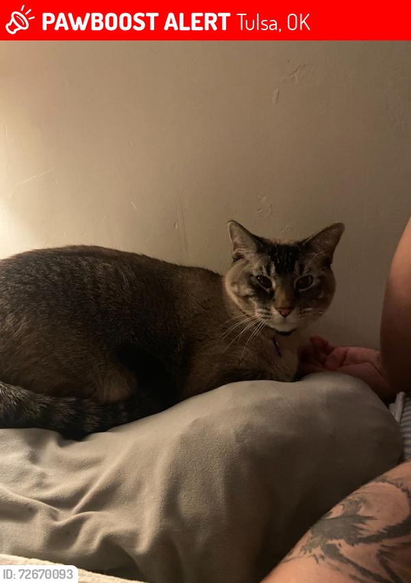 Lost Male Cat last seen Near qt, Tulsa, OK 74145