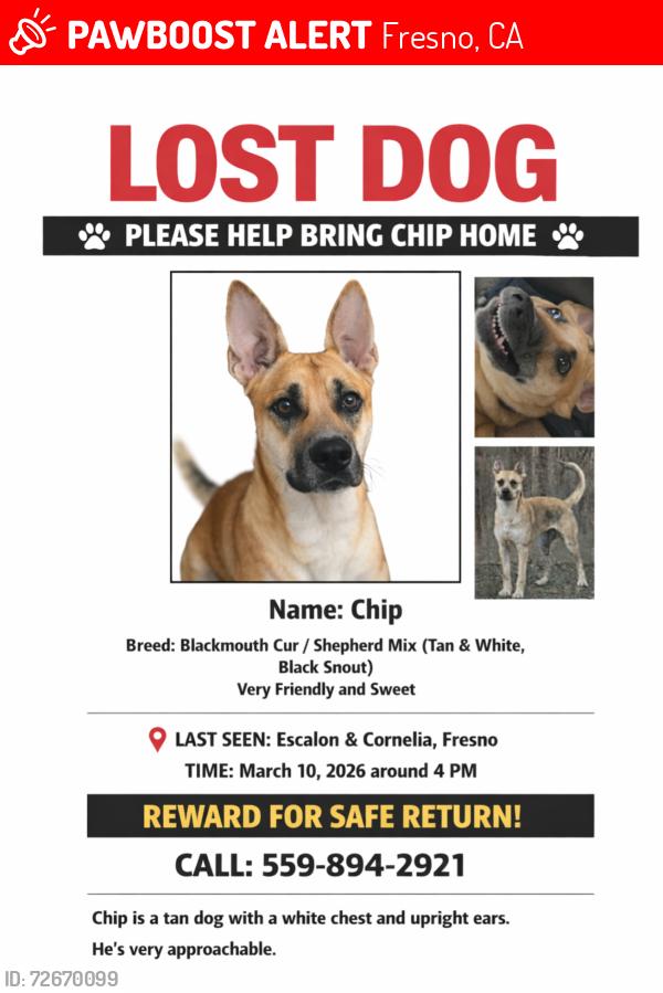 Lost Male Dog last seen Escalon and Cornelia, Fresno , Fresno, CA 93722