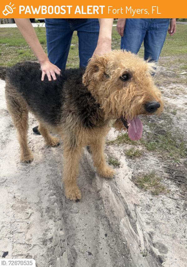 Found/Stray Unknown Dog last seen Near Fairview Ave, Fort Myers, FL 33905