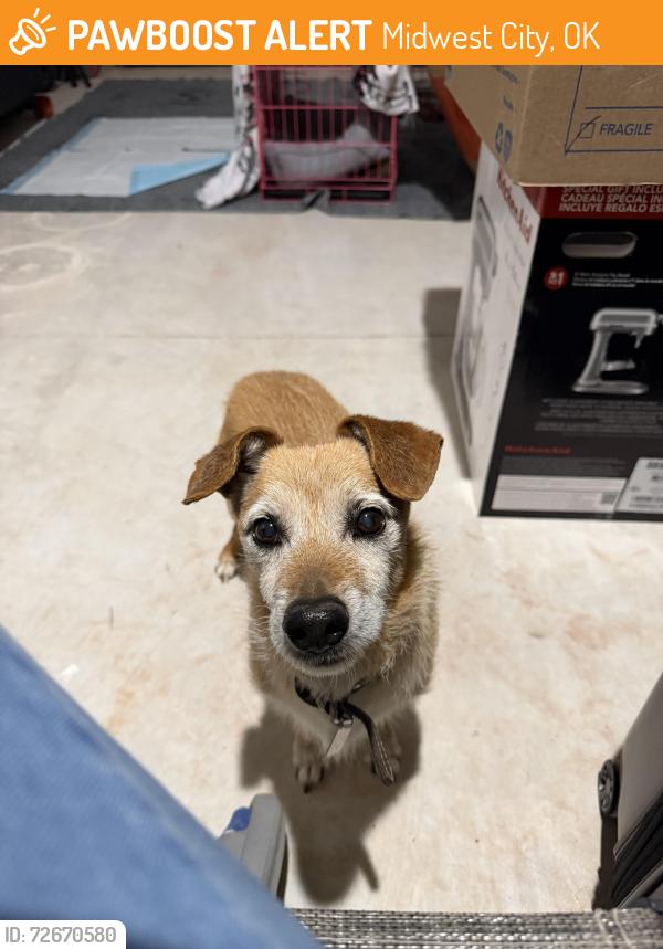 Found/Stray Male Dog last seen Near crest foods, Midwest City, OK 73110
