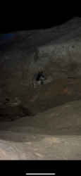 Found/Stray Unknown Dog last seen Down by the river in a cave. , Carlisle, PA 17013