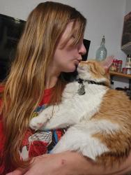 Lost Male Cat last seen Trade st se salem, Salem, OR 97301