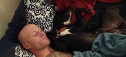 Lost Male Dog last seen 63rd and prospect , Kansas City, MO 64130