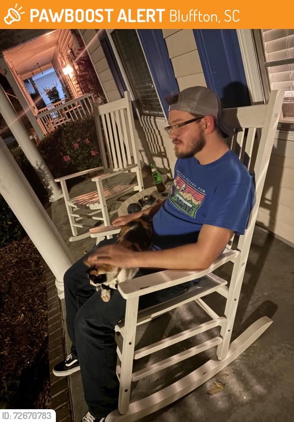 Found/Stray Unknown Cat last seen 9th park, Bluffton, SC 29910