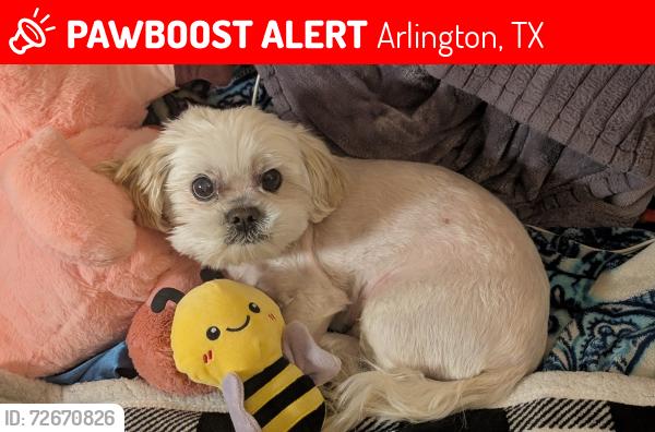 Lost Male Dog last seen Hardisty and Sublett , Arlington, TX 76001