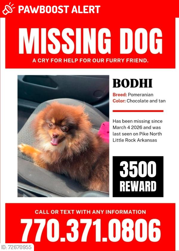 Lost Male Dog last seen Julian street, North Little Rock, AR 72114