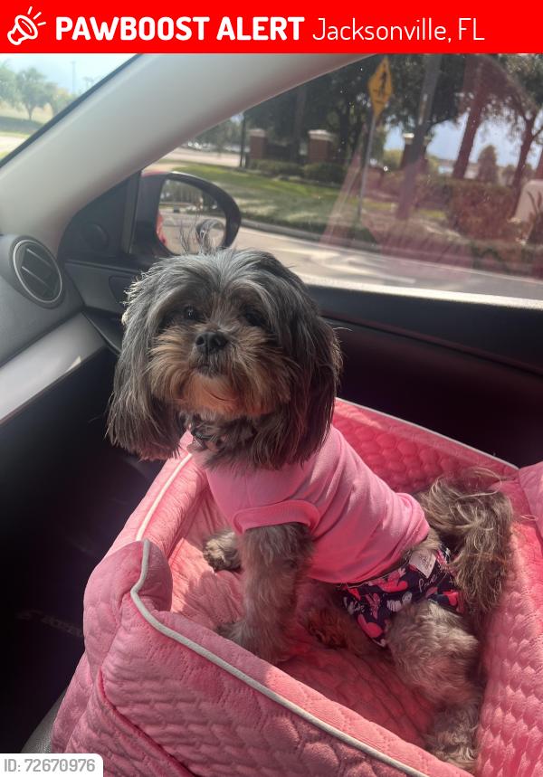 Lost Female Dog last seen Near Kendall pointe dr, Jacksonville, FL 32225
