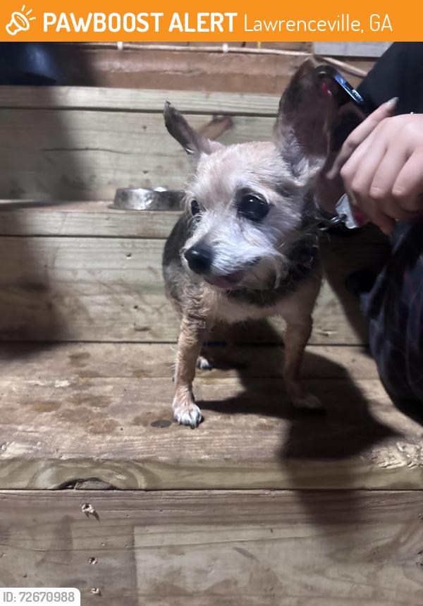 Found/Stray Unknown Dog last seen Trinity stables , Lawrenceville, GA 30043
