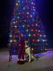 Lost Female Dog last seen Old orchard , Lewisville, TX 75077